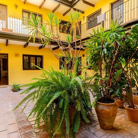 Апартаменти Loft En El Corral Del Horno Севілья Екстер'єр фото